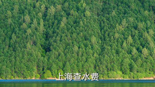 上海查水費