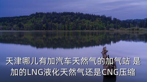 天津哪兒有加汽車天然氣的加氣站 是加的LNG液化天然氣還是CNG壓縮