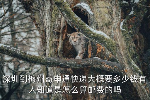 深圳到梅州寄申通快遞大概要多少錢有人知道是怎么算郵費的嗎