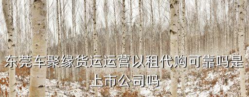 代購從東莞發貨可信嗎，東莞車聚緣貨運運營以租代購可靠嗎是上市公司嗎