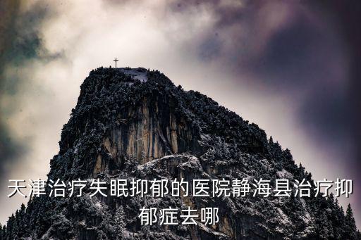 天津治療失眠抑郁的醫(yī)院靜海縣治療抑郁癥去哪