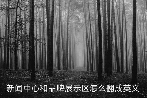 新聞中心和品牌展示區怎么翻成英文