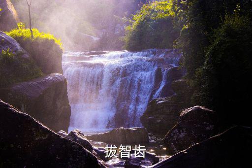 拔智齒