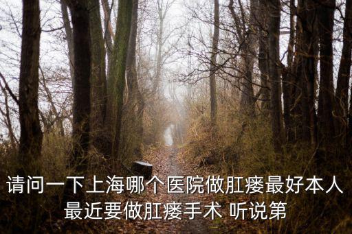請(qǐng)問一下上海哪個(gè)醫(yī)院做肛瘺最好本人最近要做肛瘺手術(shù) 聽說第