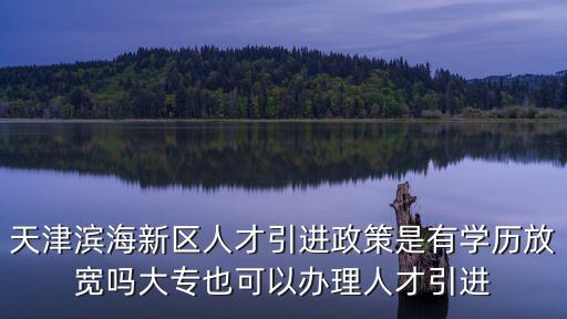 天津?yàn)I海新區(qū)人才引進(jìn)政策是有學(xué)歷放寬嗎大專也可以辦理人才引進(jìn)