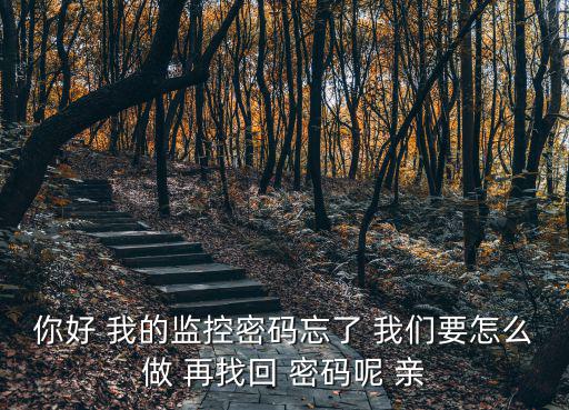 你好 我的監控密碼忘了 我們要怎么做 再找回 密碼呢 親