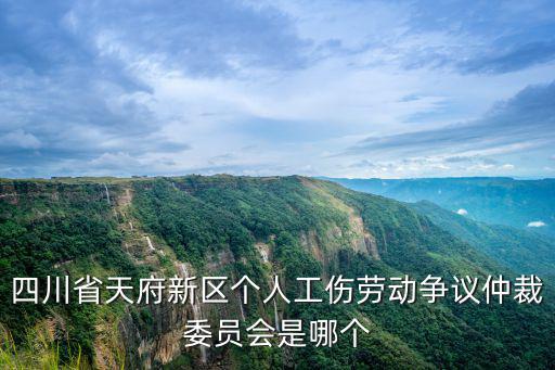 四川省天府新區(qū)個人工傷勞動爭議仲裁委員會是哪個