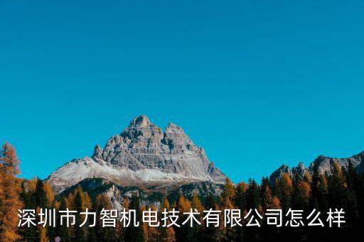 深圳市力智機電技術有限公司怎么樣
