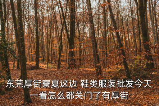 東莞厚街寮夏這邊 鞋類服裝批發(fā)今天一看怎么都關門了有厚街