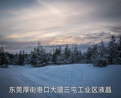 東莞厚街港口大道三屯工業(yè)區(qū)液晶