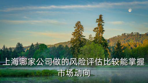 上海哪家公司做的風(fēng)險評估比較能掌握市場動向