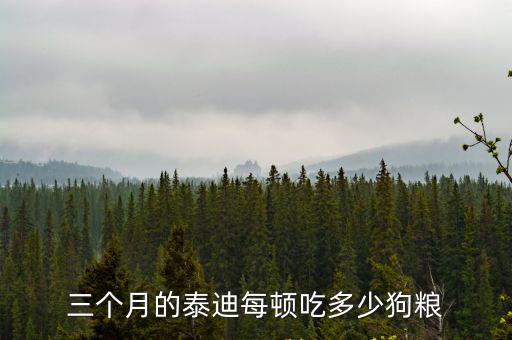 三個月泰迪一天吃多少，三個月的狗一天喂幾次合適