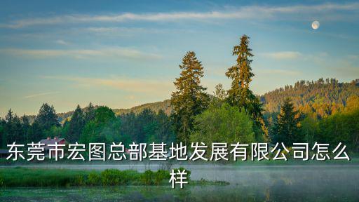 東莞市宏圖總部基地發展有限公司怎么樣