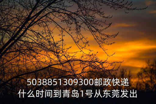 5038851309300郵政快遞什么時間到青島1號從東莞發出