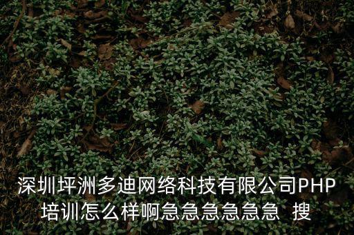 深圳坪洲多迪網絡科技有限公司PHP培訓怎么樣啊急急急急急急  搜