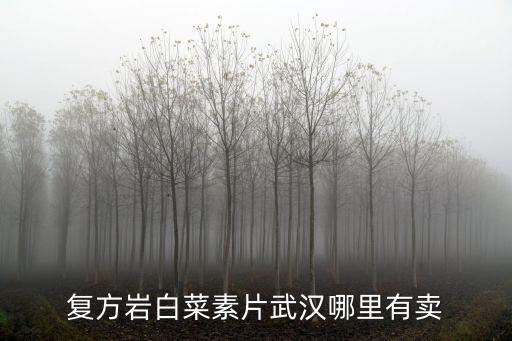 復方巖白菜素片武漢哪里有賣