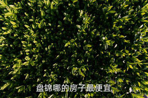 盤錦哪的房子最便宜
