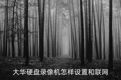華硬盤錄像機怎么聯(lián)網(wǎng)，大華硬盤錄像機如何連接網(wǎng)絡
