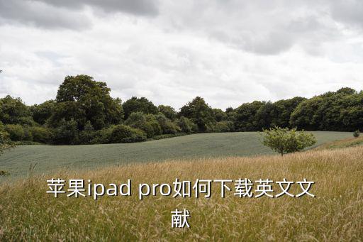 蘋果ipad pro如何下載英文文獻