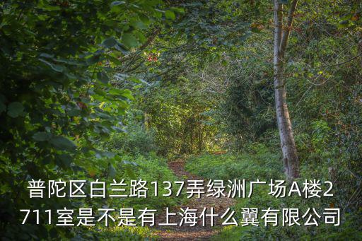普陀區白蘭路137弄綠洲廣場A樓2711室是不是有上海什么翼有限公司