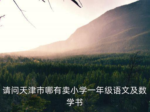請問天津市哪有賣小學一年級語文及數學書