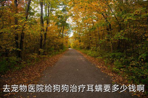 去寵物醫院給狗狗治療耳螨要多少錢啊