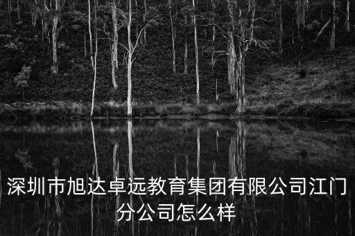 深圳市旭達卓遠教育集團有限公司江門分公司怎么樣