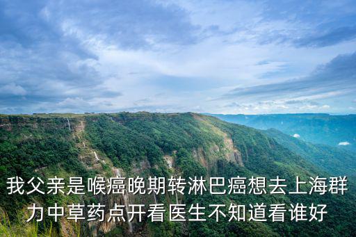 我父親是喉癌晚期轉淋巴癌想去上海群力中草藥點開看醫生不知道看誰好