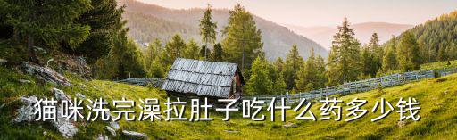 貓咪洗完澡拉肚子吃什么藥多少錢