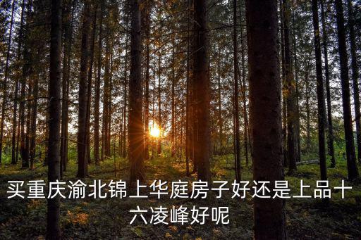 買重慶渝北錦上華庭房子好還是上品十六凌峰好呢