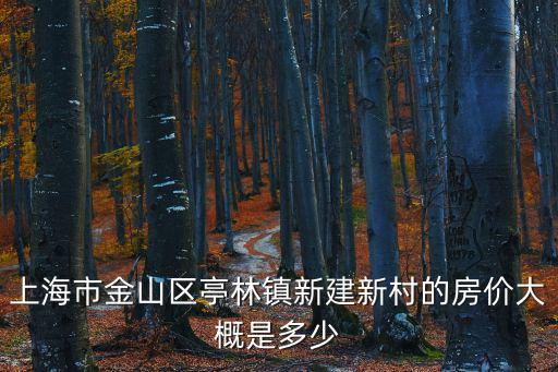 上海市金山區(qū)亭林鎮(zhèn)新建新村的房價(jià)大概是多少