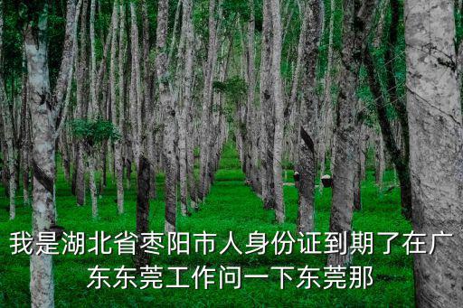 我是湖北省棗陽市人身份證到期了在廣東東莞工作問一下東莞那
