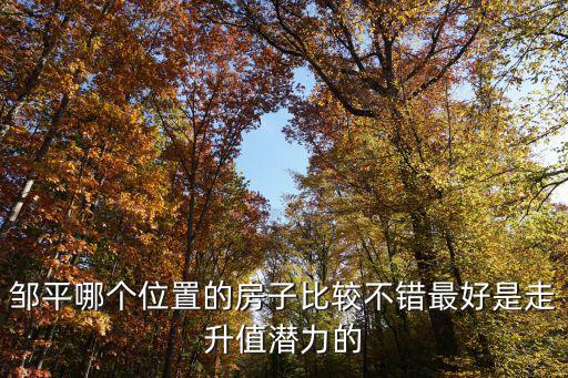 鄒平市房價如何樣，鄒平哪個位置的房子比較不錯最好是走升值潛力的