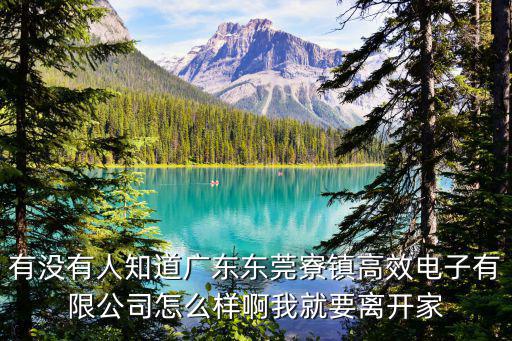 有沒(méi)有人知道廣東東莞寮鎮(zhèn)高效電子有限公司怎么樣啊我就要離開家