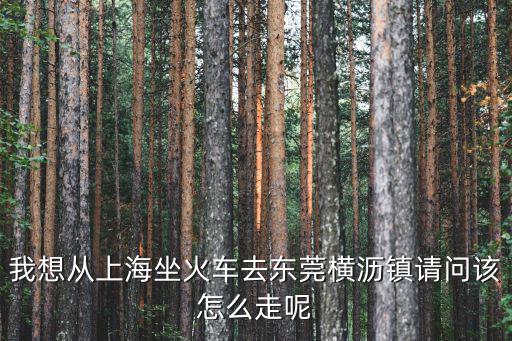我想從上海坐火車去東莞橫瀝鎮請問該怎么走呢