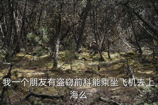 上海市通緝令名單，我一個(gè)朋友有盜竊前科能乘坐飛機(jī)去上海么