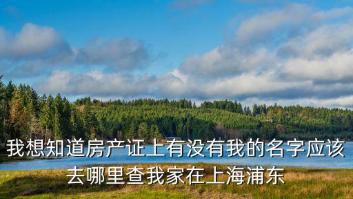 我想知道房產(chǎn)證上有沒有我的名字應(yīng)該去哪里查我家在上海浦東