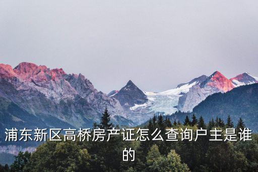 浦東新區(qū)高橋房產(chǎn)證怎么查詢戶主是誰的