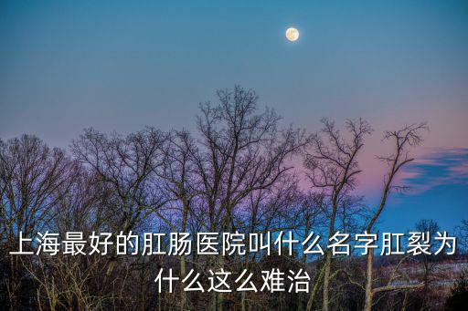 上海市醫(yī)學(xué)會肛腸科分會，上海肛腸醫(yī)院