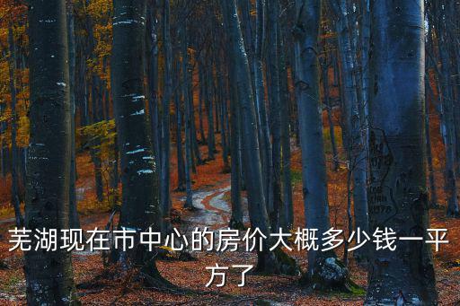 蕪湖現(xiàn)在市中心的房?jī)r(jià)大概多少錢一平方了