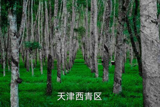 天津西青區