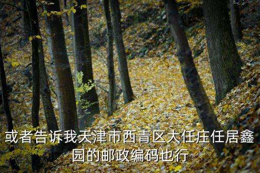 或者告訴我天津市西青區大任莊任居鑫園的郵政編碼也行