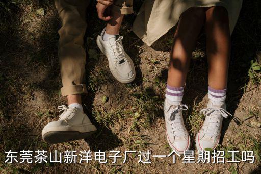 東莞茶山新洋電子廠過一個星期招工嗎