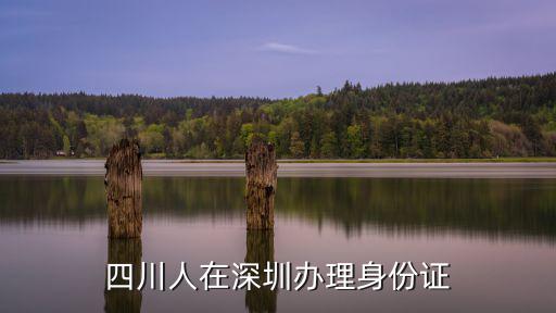 四川人在深圳辦理身份證