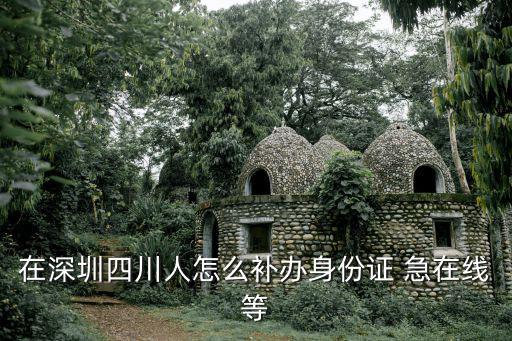 在深圳四川人怎么補辦身份證 急在線等