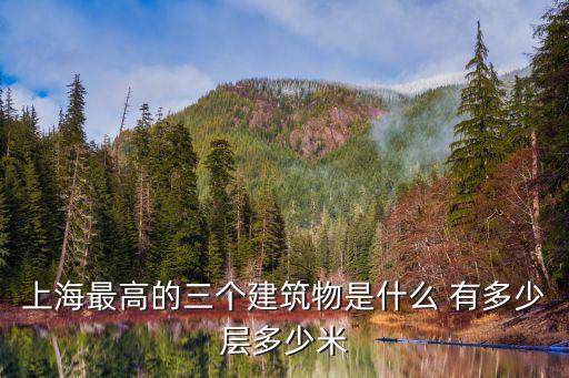 上海市最高的建筑物是哪座，上海最高的三座大廈分別叫什么