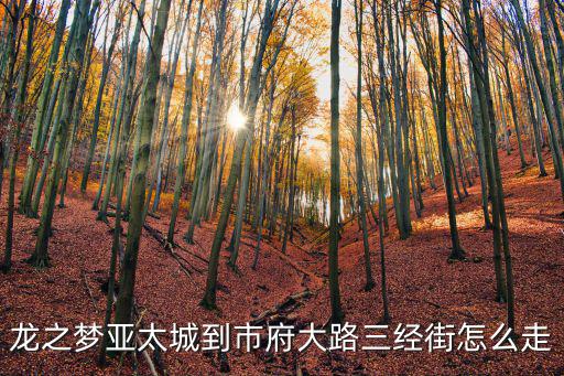 龍之夢亞太城到市府大路三經街怎么走