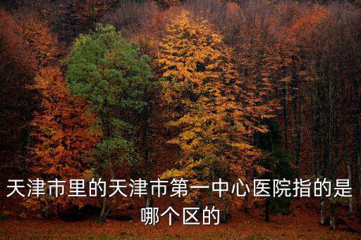 天津市里的天津市第一中心醫院指的是哪個區的