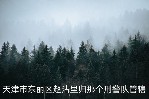 天津市東麗區趙沽里歸那個刑警隊管轄