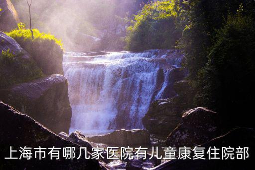 上海市有哪幾家醫(yī)院有兒童康復(fù)住院部